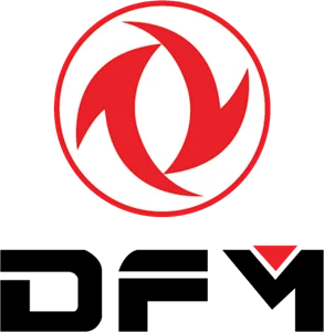 DFM